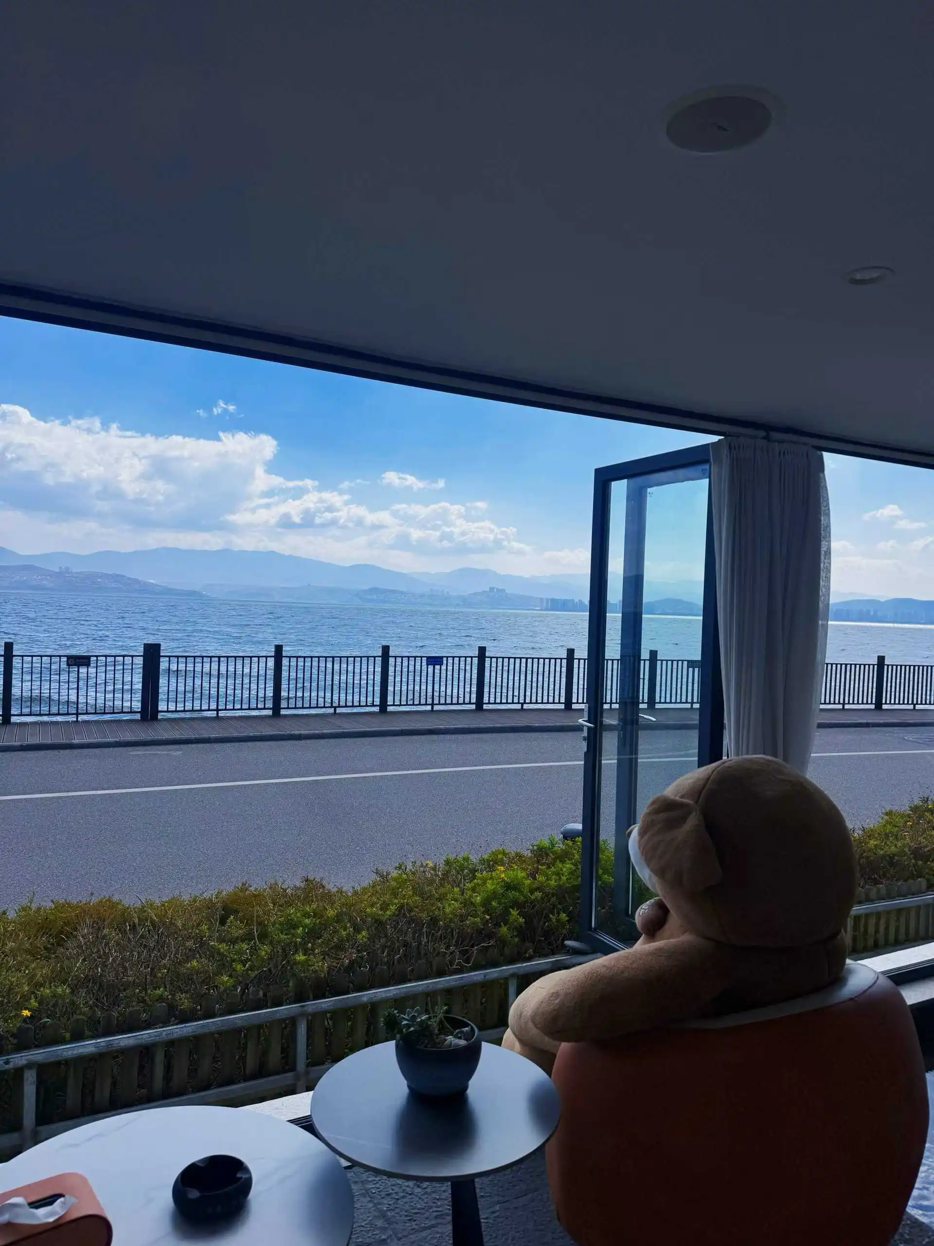 

Car camera protective cover lens cover For Skoda Octavia Fabia Rapid Superb Kodiaq Karoq Kamiq Roomster