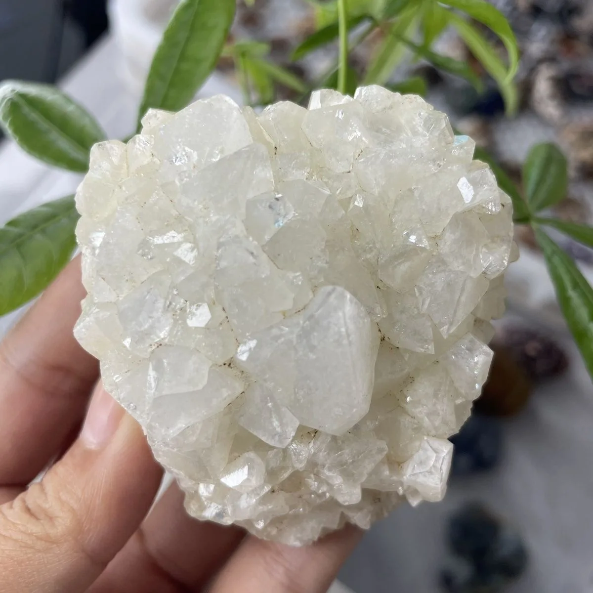 Apophyllite Crystal Cluster Raw Mineral Specimen for Collectors Home Decoration Energy Healing and Feng Shui