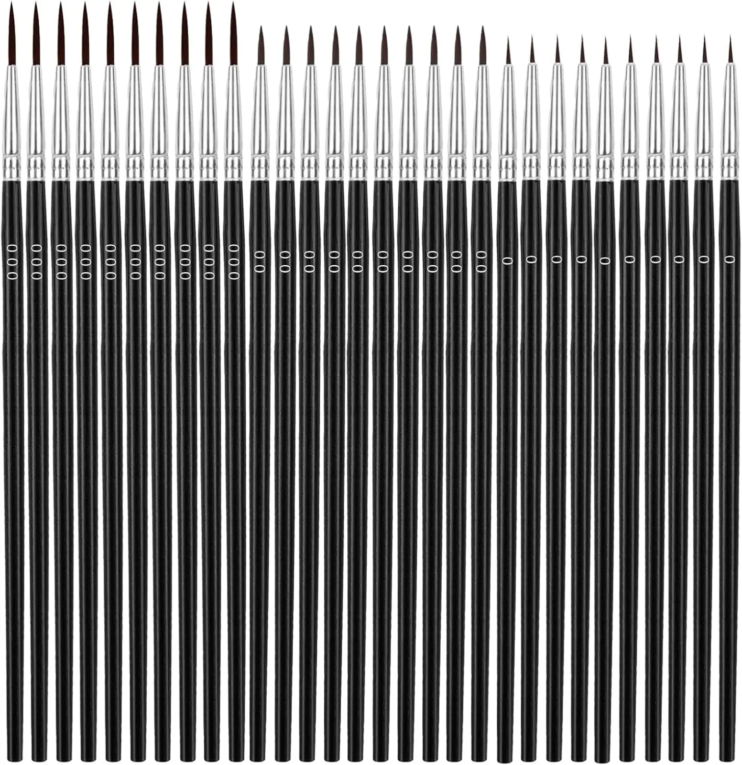 

30 Pcs Detail Paint Brushes Set - #0 #00 #000 Fine Tip Liner for Miniature, Model, Watercolor, Acrylic, Oil Painting
