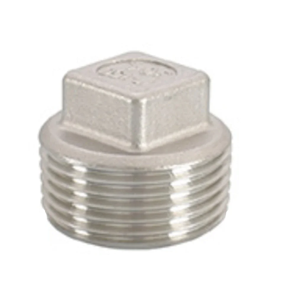 DN25 DN32 DN40 DN50 DN65 DN80 DN100 Stainless Steel Wire Plug Outer Screw Plug Inner Screw Water Pipe Plug Square Head