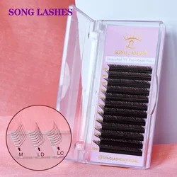 SONG LASHES YY-Form Schwarz Braun Blau Lila Wimpernverlängerung Zwei Spitzenwimpern C/D/DD/LC/LD/M Curl Hochwertige Individuelle