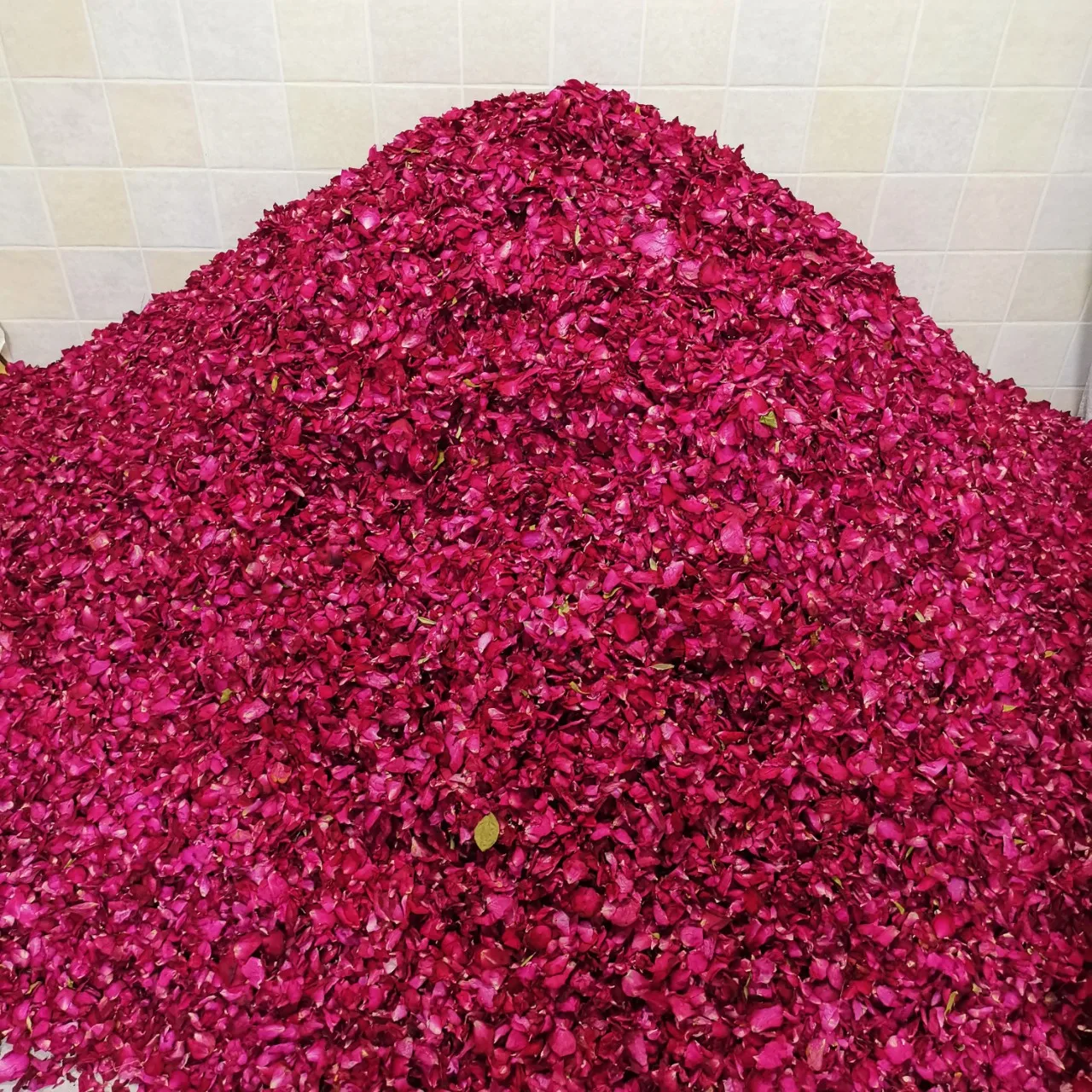 2023 NEW Natural Rose Petals Fragrance Dried Real Red Rose Flower Wedding Party Table Confetti Decoration Biodegradable