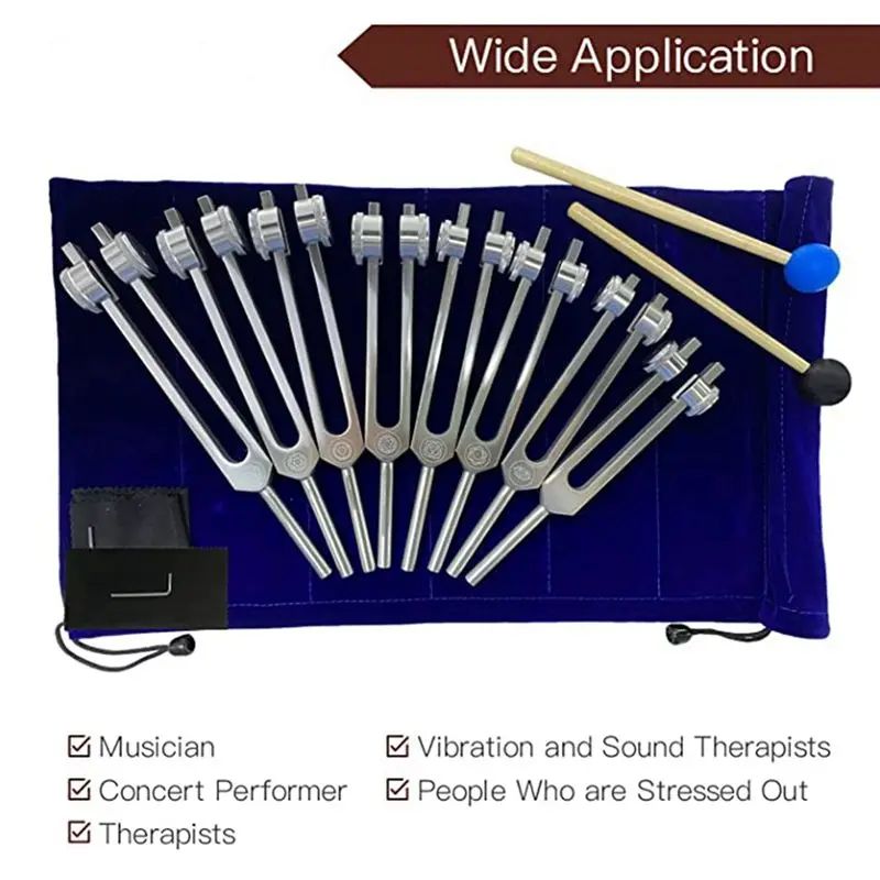 ABUE-Chakra Tuning Fork Set For Healing, 16 Pieces Silver Chakra Tuning Fork For Meditation