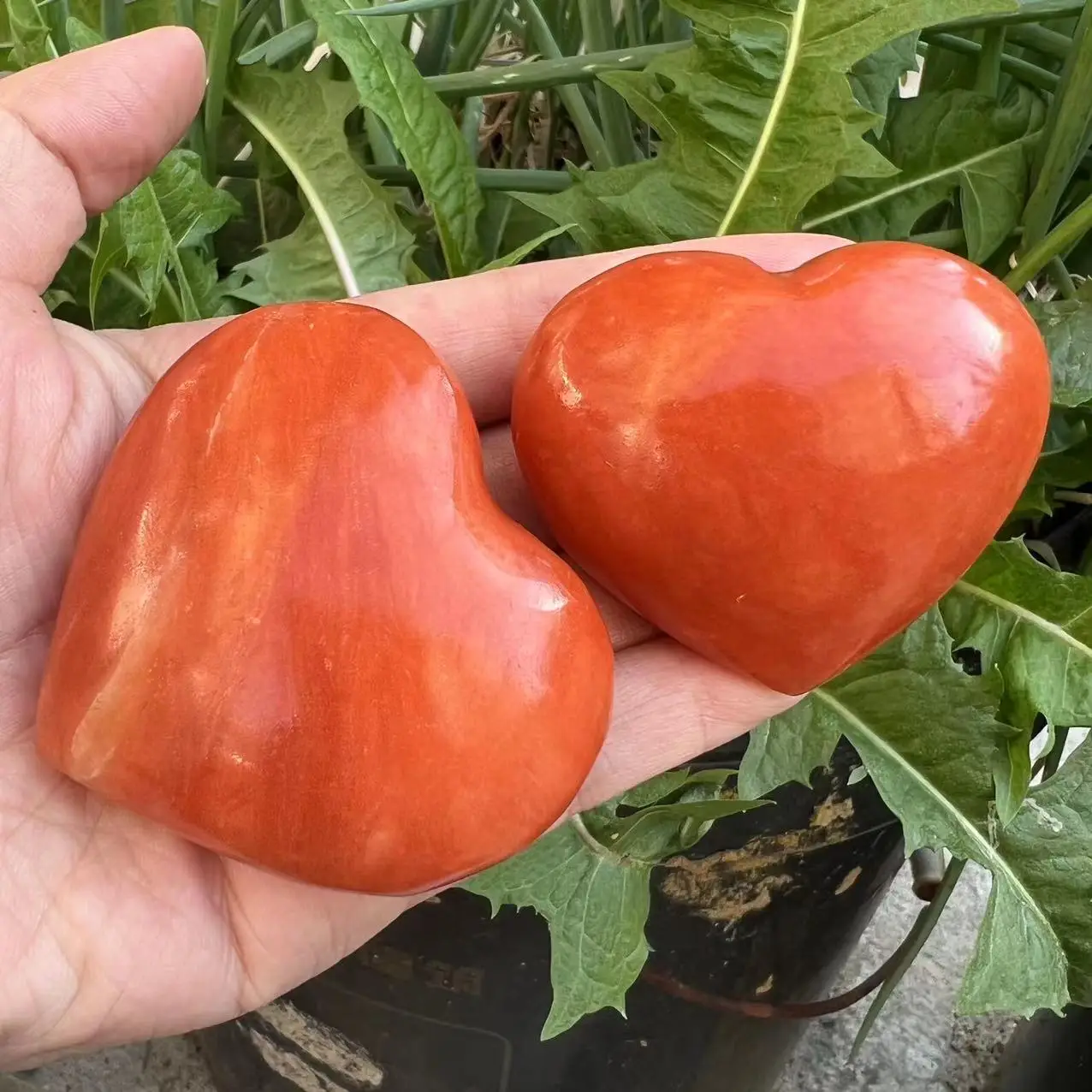 5-6cm Natural red Celestite Heart Polished Crystal Quartz Rock Decoration Stone Mineral Healing Reiki