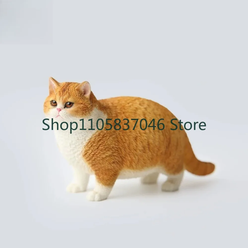 Fat Orange Simulation Model Resin Desktop Decoration JXK064