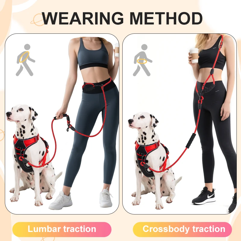 Thumbnail 3 - #41 Latest Retractable Puppy Leads Offers