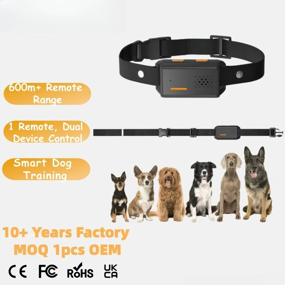 2 in 1 Dog Training Collar 600m Remote Vibration Command Record Automatic Bark Stopper Rechargeable Waterproof for Small Medium