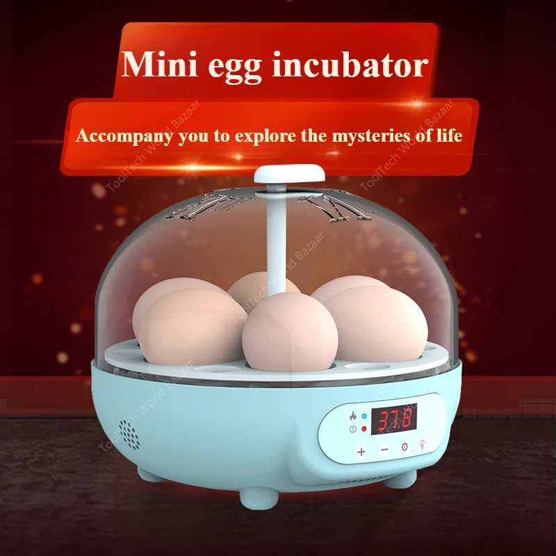 Egg Incubator Bird Egg Incubator Small Household Mini Rutin Chicken Quail Automatic Intelligent Incubator