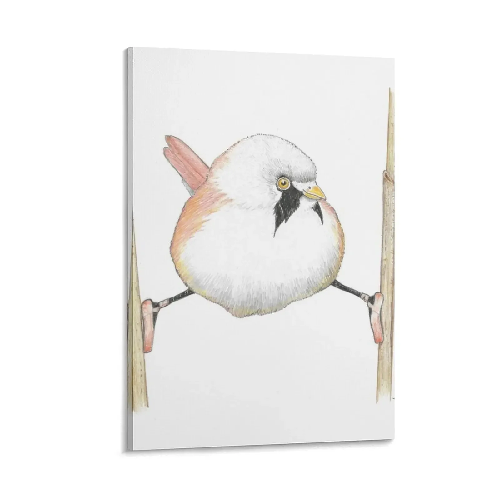 

Bearded Reedling in Toe Shoes Canvas Painting aesthetic room decoration Decorative paintings