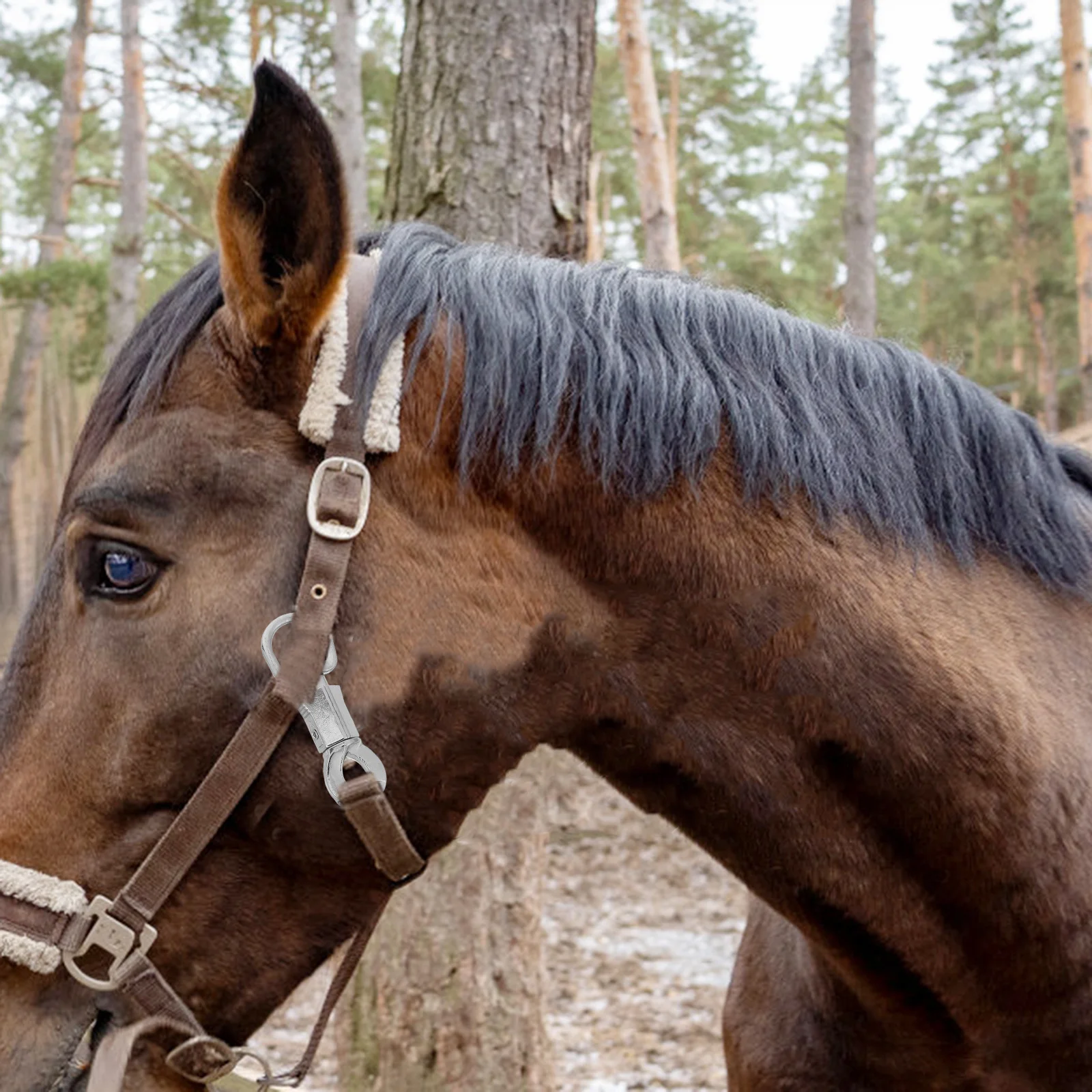 الفروسية المفاجئة هوك سبائك الزنك الربيع قفل آلية سريع فصل معدات ركوب الخيل لتدريب الحصان مشبك حبل مستقر