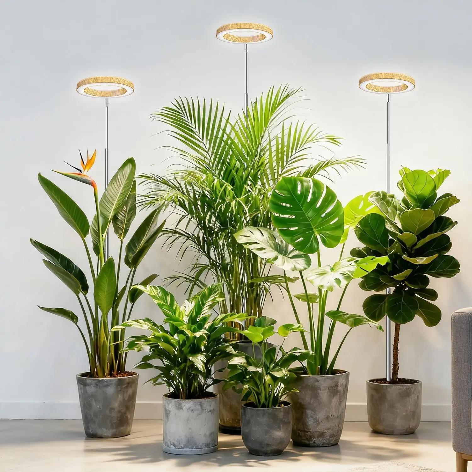 

Full Spectrum LED Plant Grow Light with Timer, Adjustable Height, 3 Modes & 5 Brightness for Indoor Plants (3 Pack)