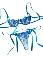 Conjunto de lencería con bordado Floral para mujer, sujetador transparente y ropa interior breve, ropa interior íntima Sexy de satén