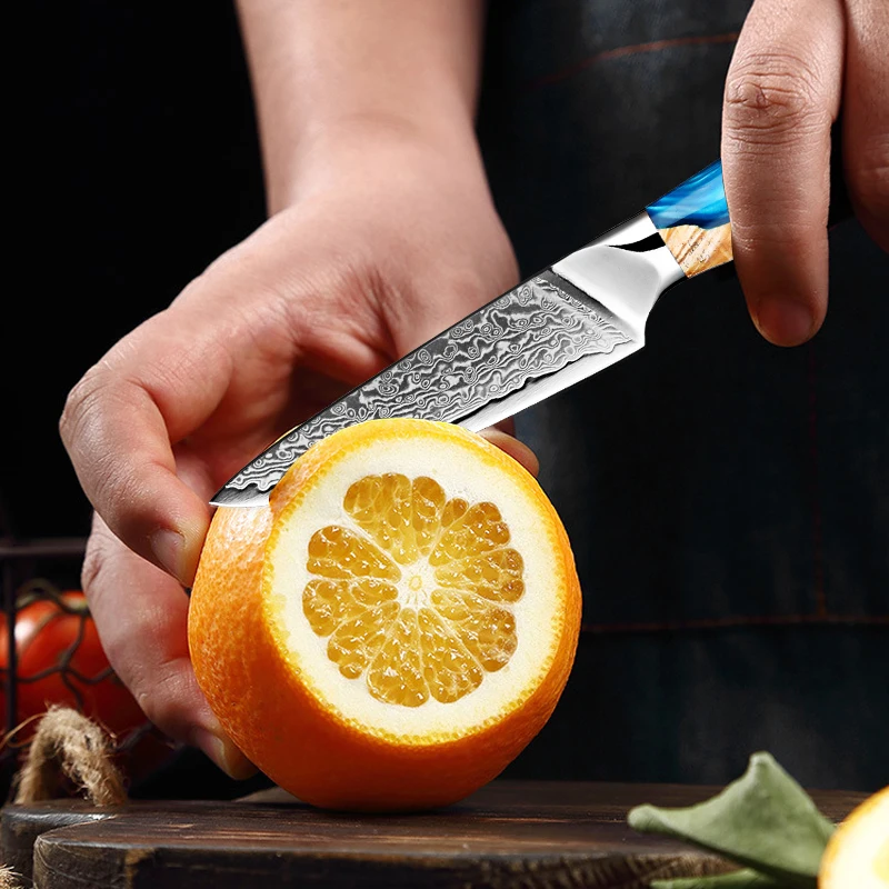 Cuchillo de pelar de acero de Damasco, navaja pequeña de cocina de 3,5 pulgadas, cuchillo afilado para fruta, VG10, 67 capas, mango ergonómico de