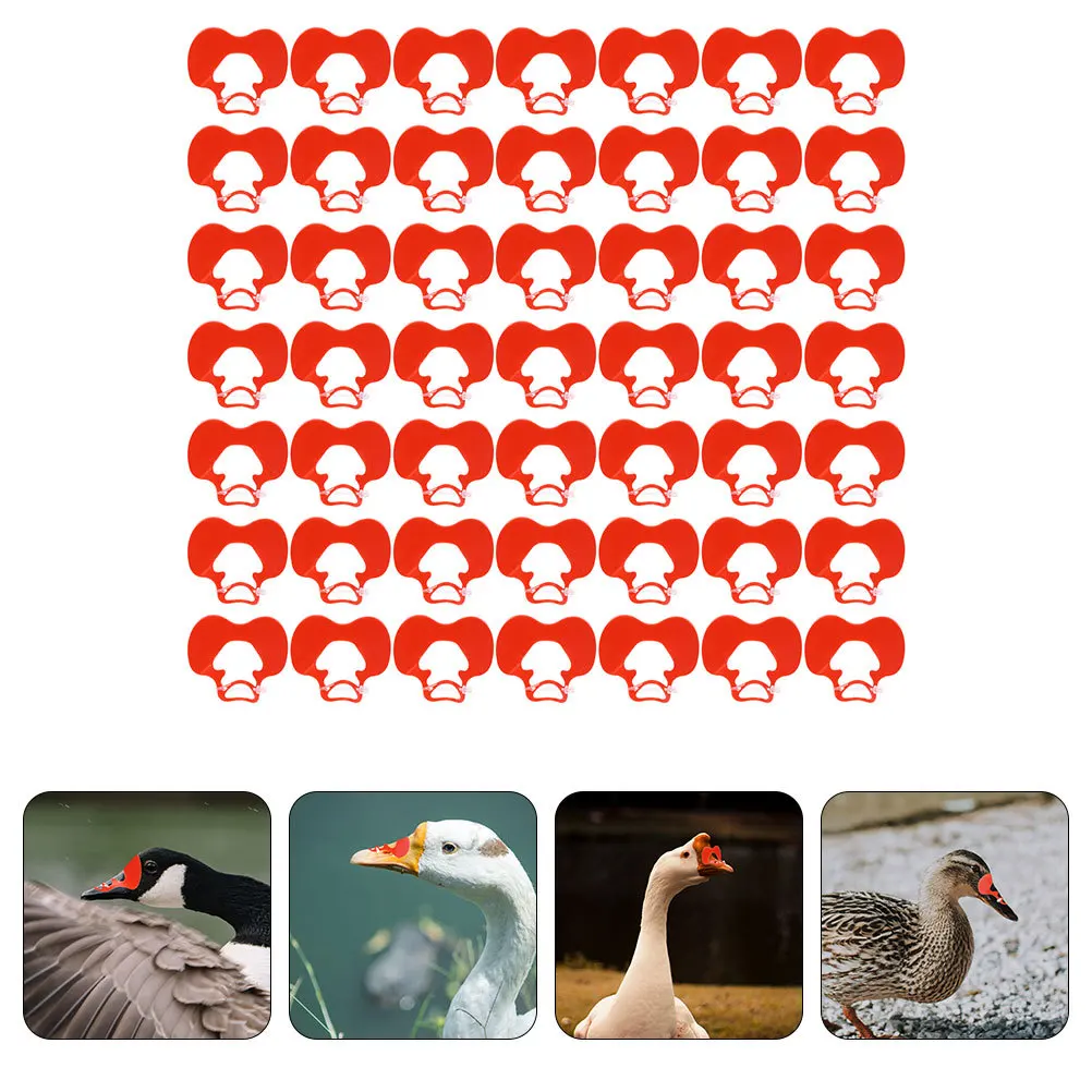 

100Pcs Anti-Pecking Spectacles for Goose Thicken Glasses Reduce Pecking Increase Production Farm Supplies Goose Glasses