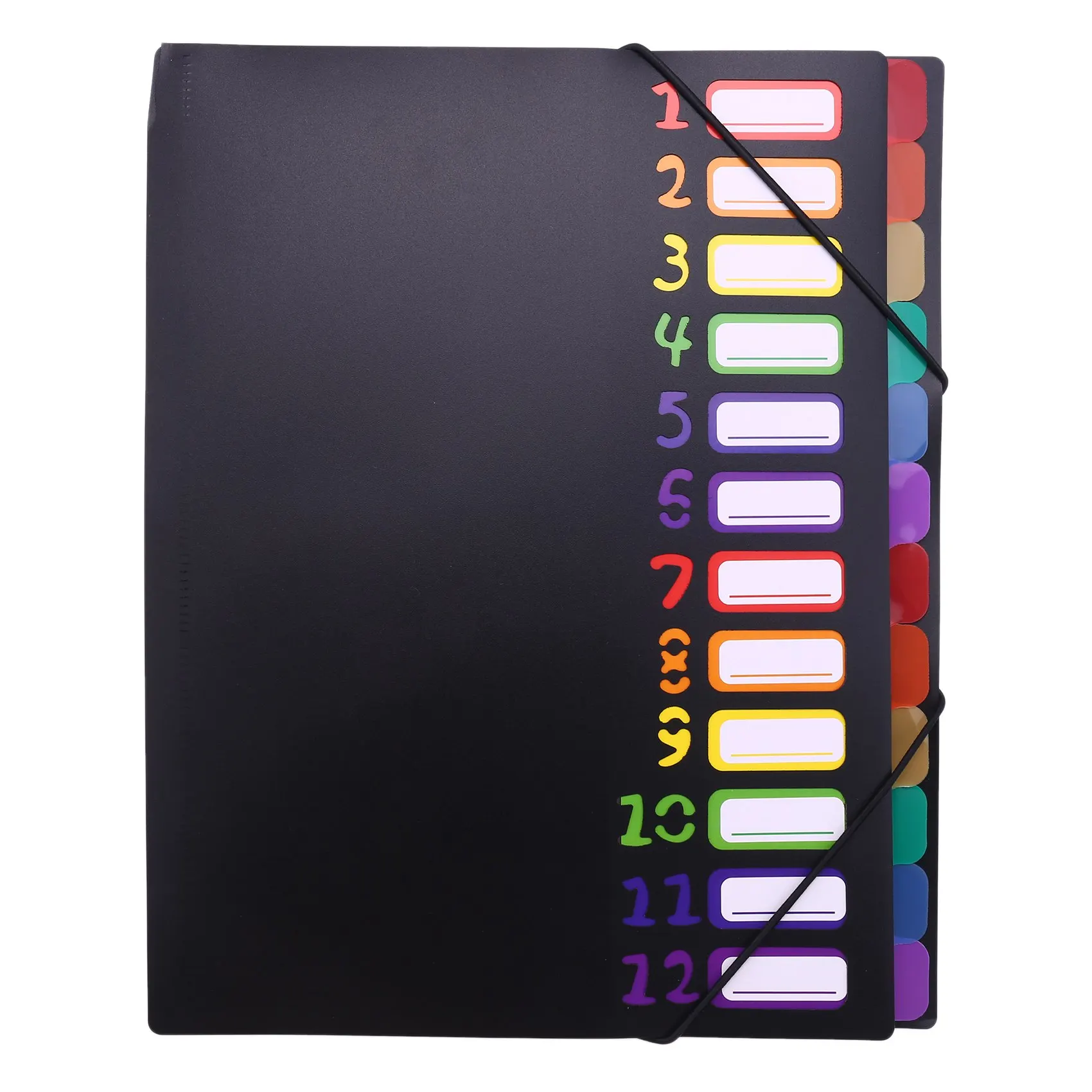 Extended Folder,12 Pocket Letters A4 Paper Item Sorter,Plastic File Storage Bag,