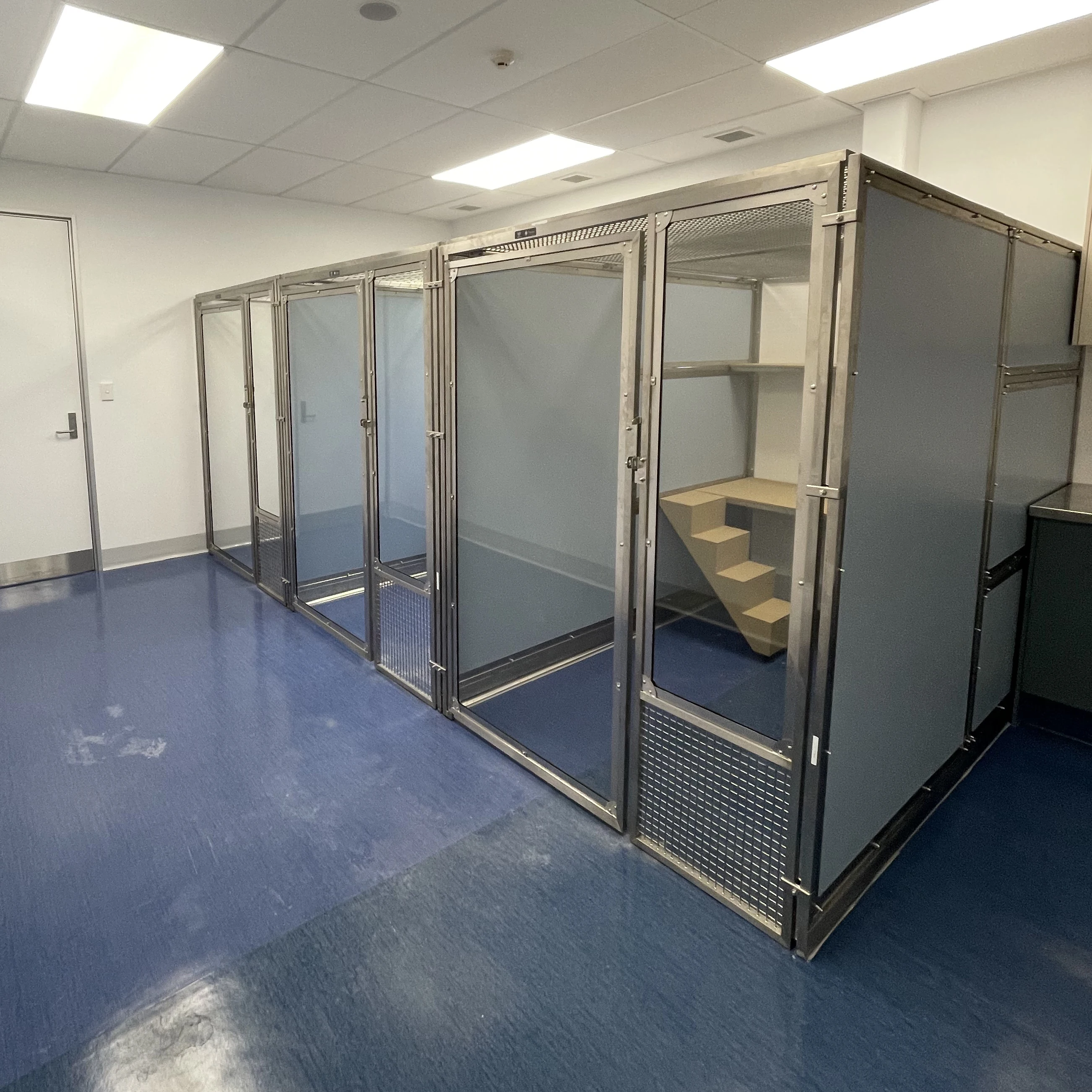 

Commercial Cat Boarding Villa Cattery Cat House Luxury Indoor Cat Villa Kennel Condo