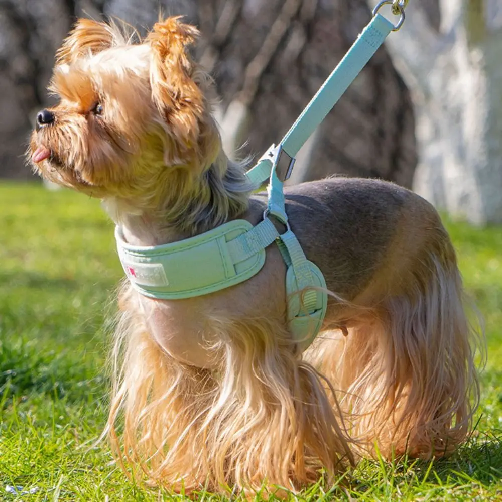 

Practical Adjustable Dog Harness Vest Comfortable Breathable Dog Leash Prevent Breaking Free Puppy Chest Strip Outdoor Walking