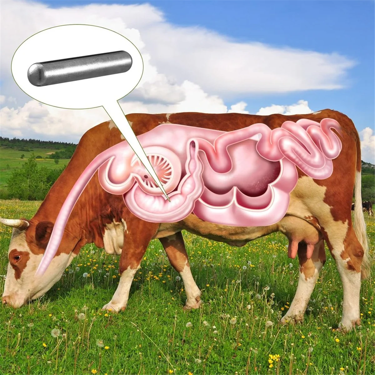 A002 3 peças cilindro magnético de vaca alnico localizador de pinos magnéticos de 0,50 polegadas de diâmetro, comprimento de 3 polegadas, prata