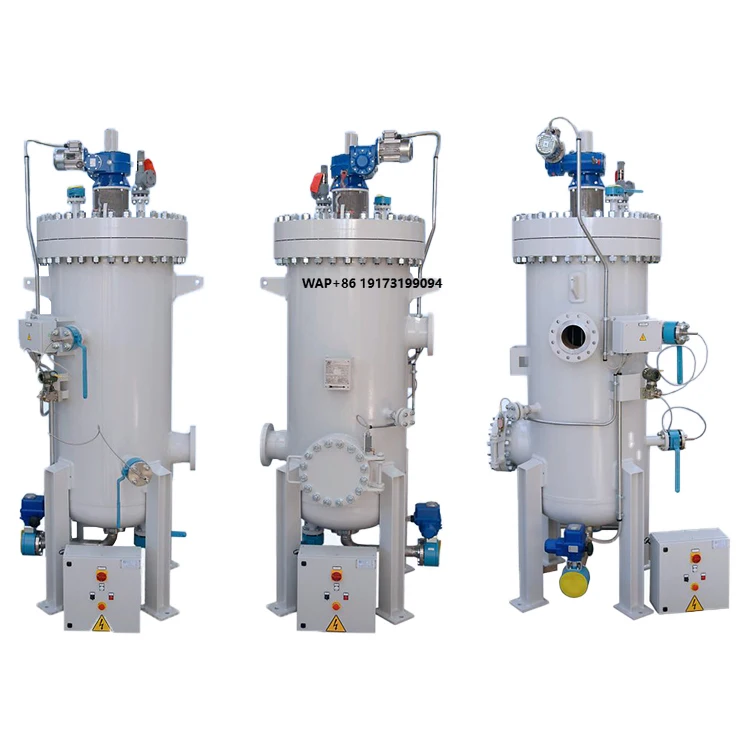 

New Self-Cleaning Brush-Type Industrial Filtration Equipment 316L Stainless Steel Seawater Filter PLC Control for Petro-Chemical
