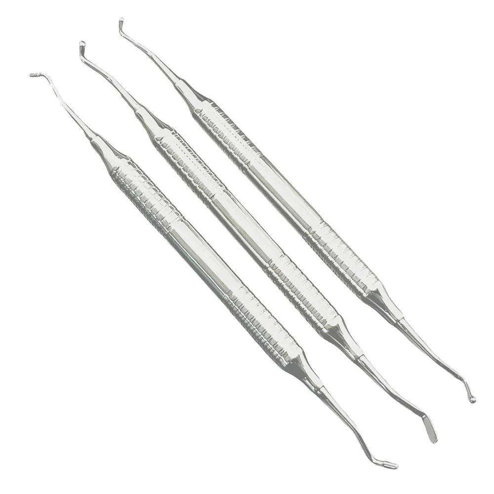 

Dental Instrument Composite Resin Tool Filler Spatula Plastic Dental Stainless Steel Double Ended Carving