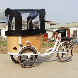 250W Customized 500w 6 speed Electric Cargo Tricycle With Front Disc Brake Dutch Bike Bicycle Cargo Bike Europe bakfiets For Sal