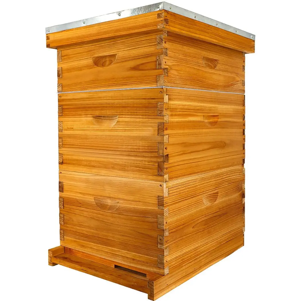 Wax Coated Wooden Bee Hive Kit Beekeeping Equipment Frame Wooden Beehive Bee Hives Boxe Langstroth Beekeeping