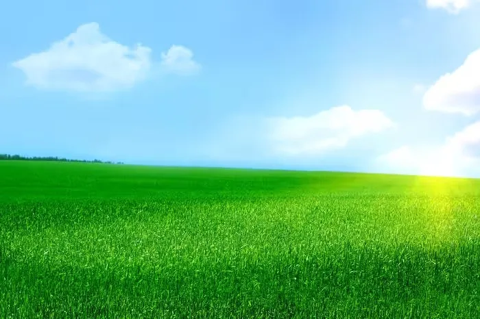 

Ice Cube Form Silicone Rose Shape Icecream Mold Tray 3D Big Ice Cream Ball Maker Reusable Whiskey Cocktail Mould Bar Tool