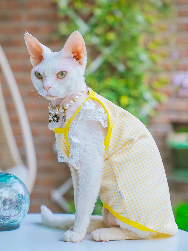 Sphynx Cat Clothes Pink Cotton Lace Floral Dress for Kittens Spring Sweet Vest for female Cat Vintage T-shirt for Devon Rex