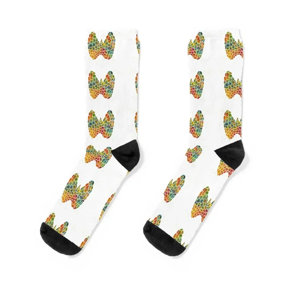 Thyroid gland Socks funny gift with print colored Socks For Man Women's