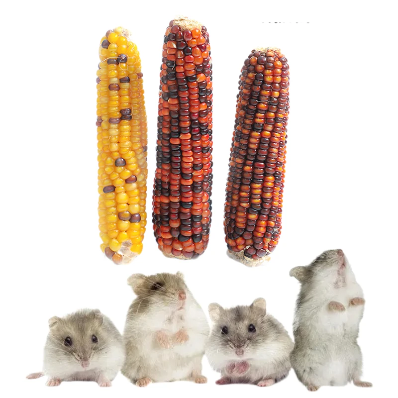 3 pieces Cute Hamster Rabbit Chew Toy Bite Grind Teeth Toys Corn for Tooth Cleaning Molar Toys Pet Supplies Corn Molar Toys