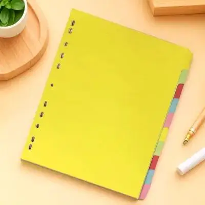 

12Pcs Colored Tab Dividers A4 Index Classified Labels 11 Holes Binder Quick Reference Document Organizer Colored Tab Dividers
