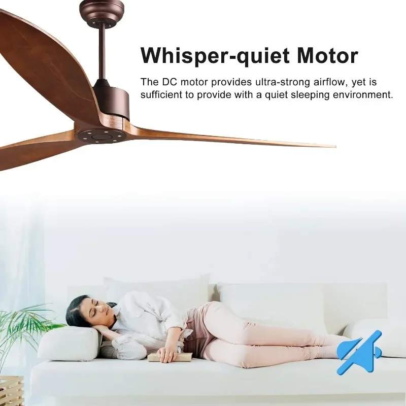 reiga 65" DC Motor Indoor Outdoor Modern Smart Ceiling Fan High CFM with 3 Wood Blades Wifi Alexa App Remote Control