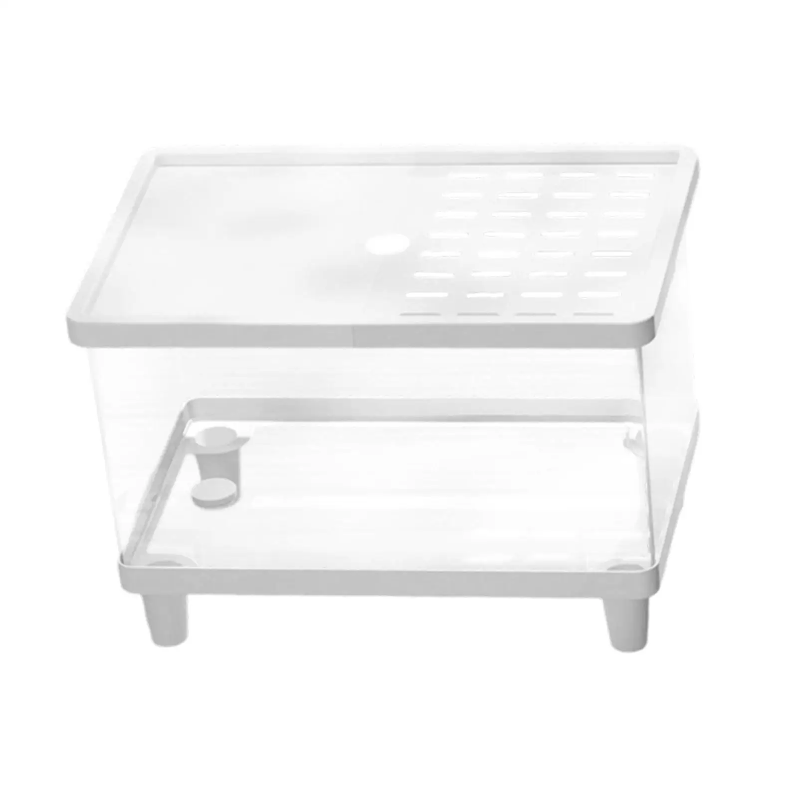 PETG Mini Reptile Terrarium Clear Small Animal House Top Vent Easy Maintenance Tank for Frogs and Turtles