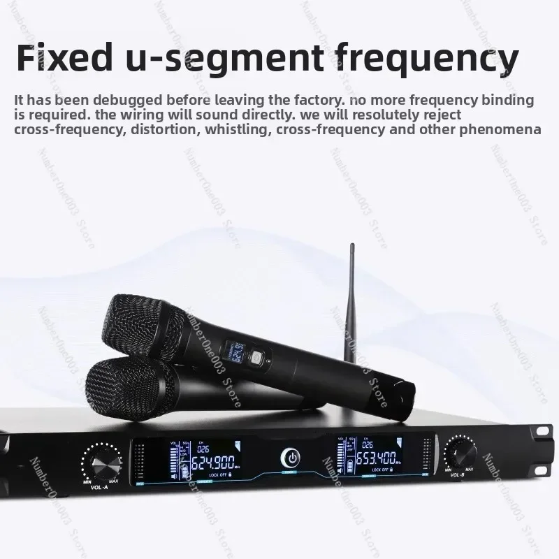 Wireless Karaoke Microphone for Home Use - Dynamic Mic with 2 Wireless Handheld Mics - High Fidelity Sound