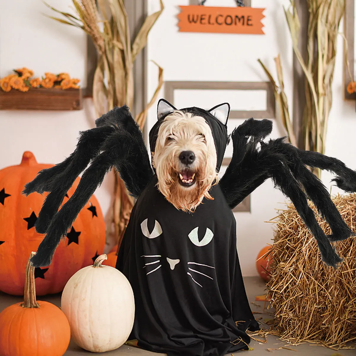 

Pet Decoration Halloween Spider Costume For Dog Cat 8 Simulated Legs Black Furry Harness Cosplay Clothes Party Decor Supplies