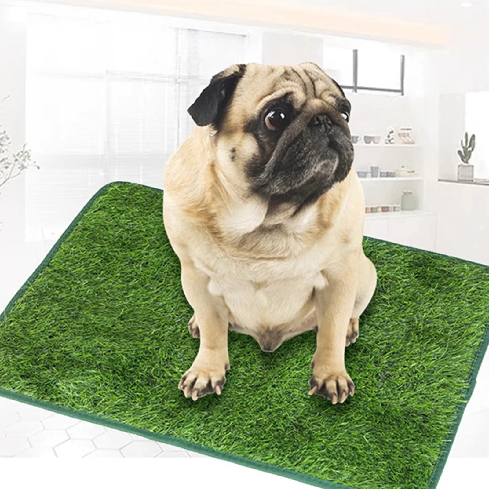 Thumbnail 3 - #40 Puppy Training Pads List of Top Picks