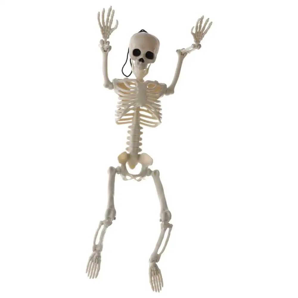 Accessories 40CM Learn Aid Flexible Car Ornaments Anatomy Skeleton People Active Model Car Decoration Human Skeleton Model 6