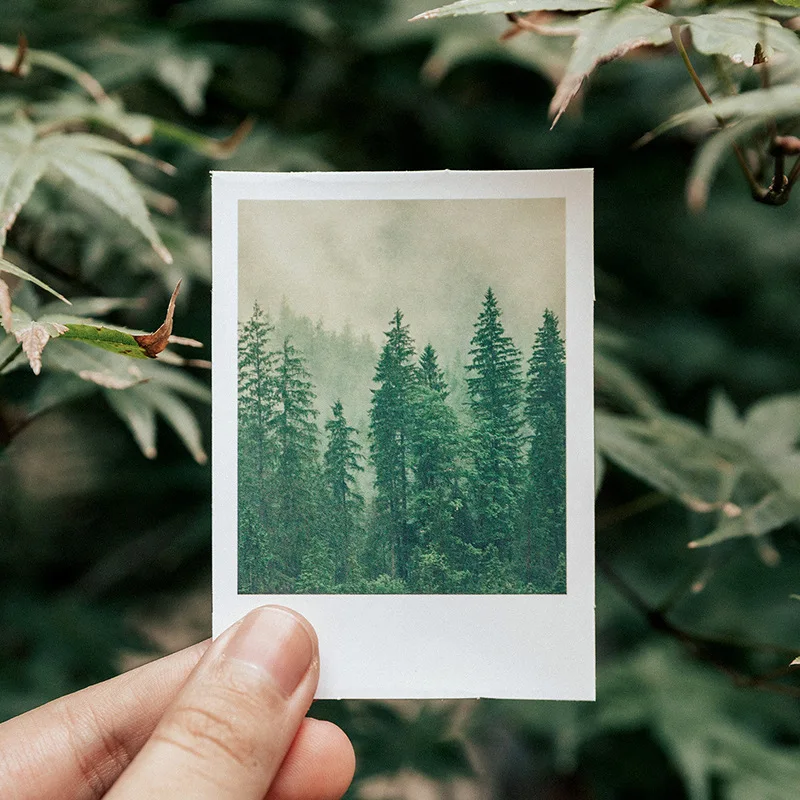 30 Sheets of Gorgeous Scenic Stickers, with Various Natural Scenes, for Scrapbooking and Diary Decoration