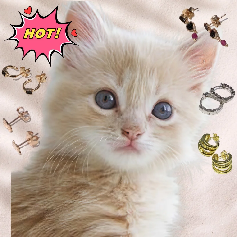 

2025 Hot Selling Brand Women's Bear Earrings Fashionable, Simple, High-end Jewelry Suitable for Gifting To Friends