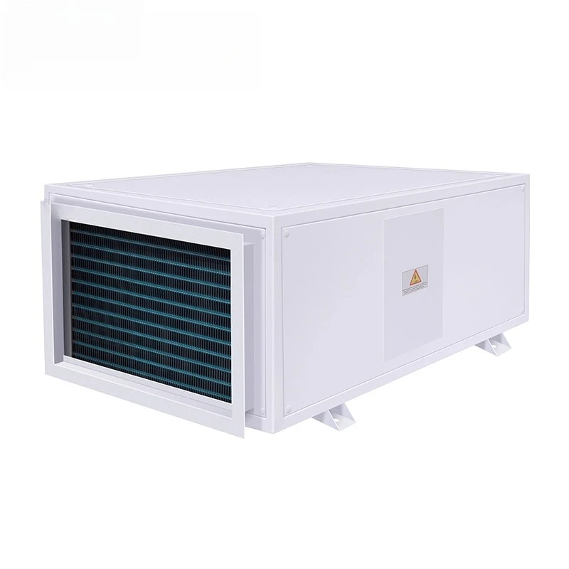 Electrical Ceiling-mounted Duct Dehumidifier High-power Ceiling Dehumidifier Refrigeration Equipment