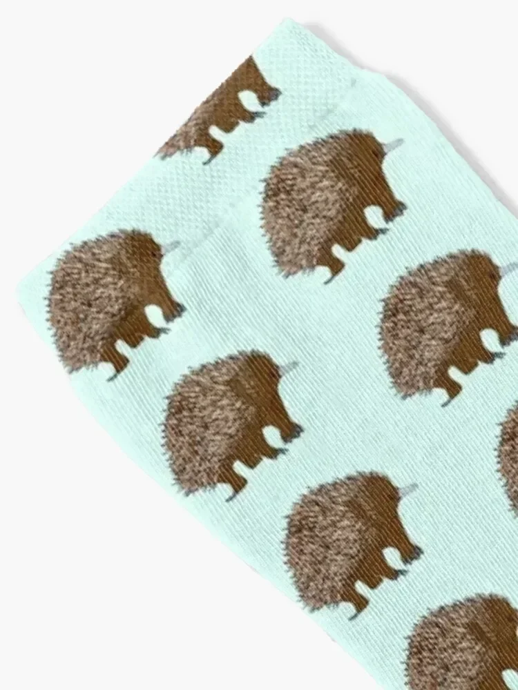 Echidna Socks funny sock funny gift Lots anti slip football Socks Men Women's