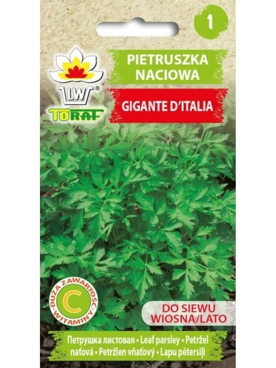 Parsley seed Gigante D'Italia vegetable parsley seeds 2G-TORAF