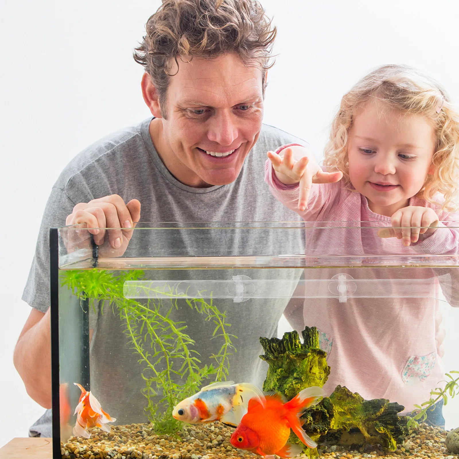 透明アクリル製エビ用給餌チューブ、給餌トレイ、水槽用エビ用食 - Aquarium Fish Keeping のレビューと価格