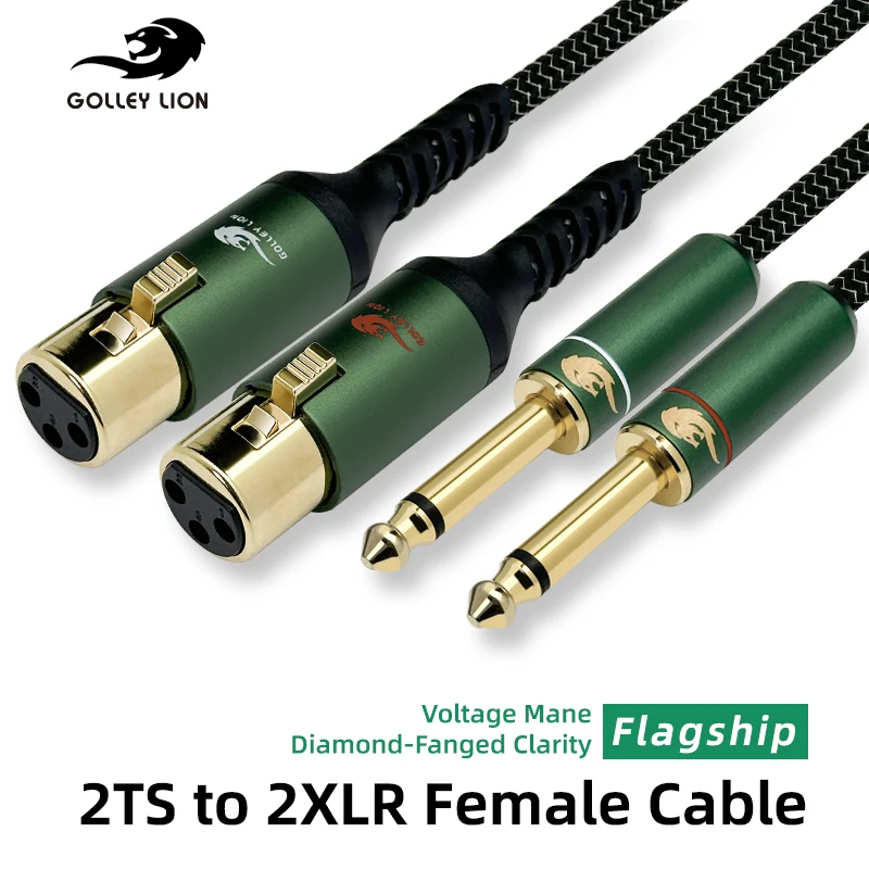 GOLLEY LION HIFI 2x6.35mm TS to 2xXLR Female Audio Cable Gold-Plated Connector Shielded Noise-Free Stereo Cable for Studio Recor