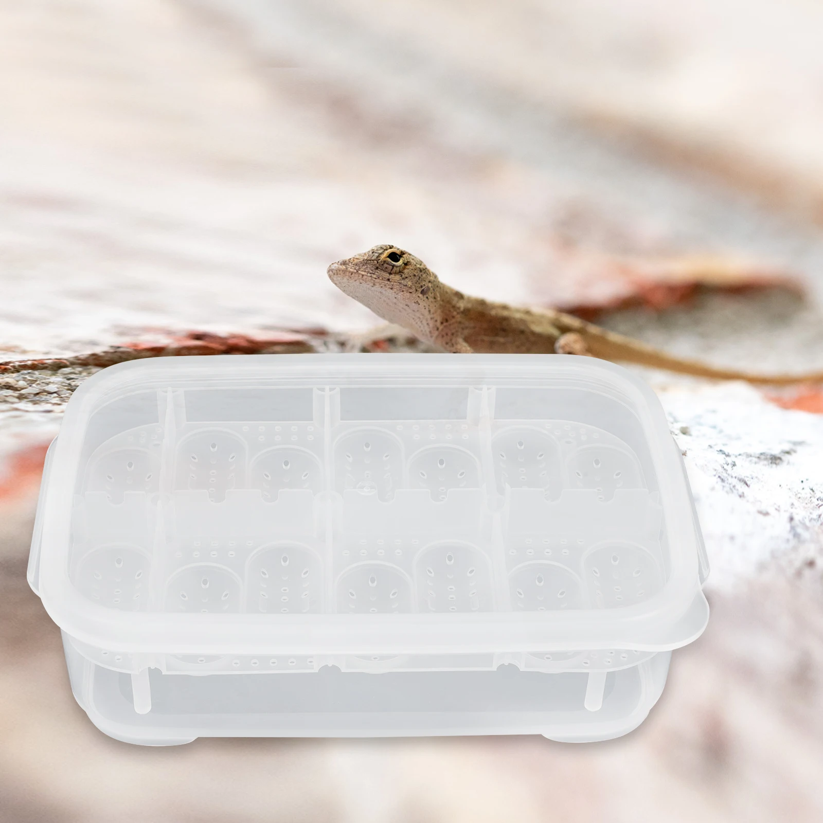 

Terrarium Reptile Crawler Hatching Box Breeding Container Spider Hatchery Incubator Professional Egg
