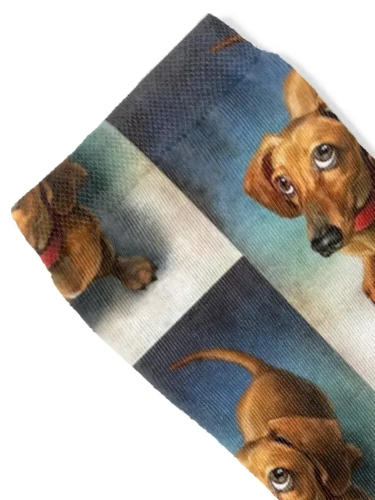 Dachshund Dog cute Portrait Art Socks Wholesale summer golf Men's Socks Luxury Women's