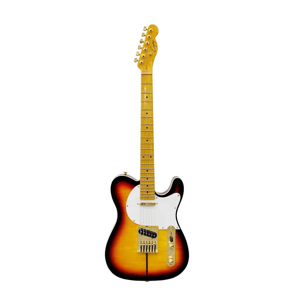 Best Selling Customizable Logo Colorful 6 Strings Beginner Electric Guitar