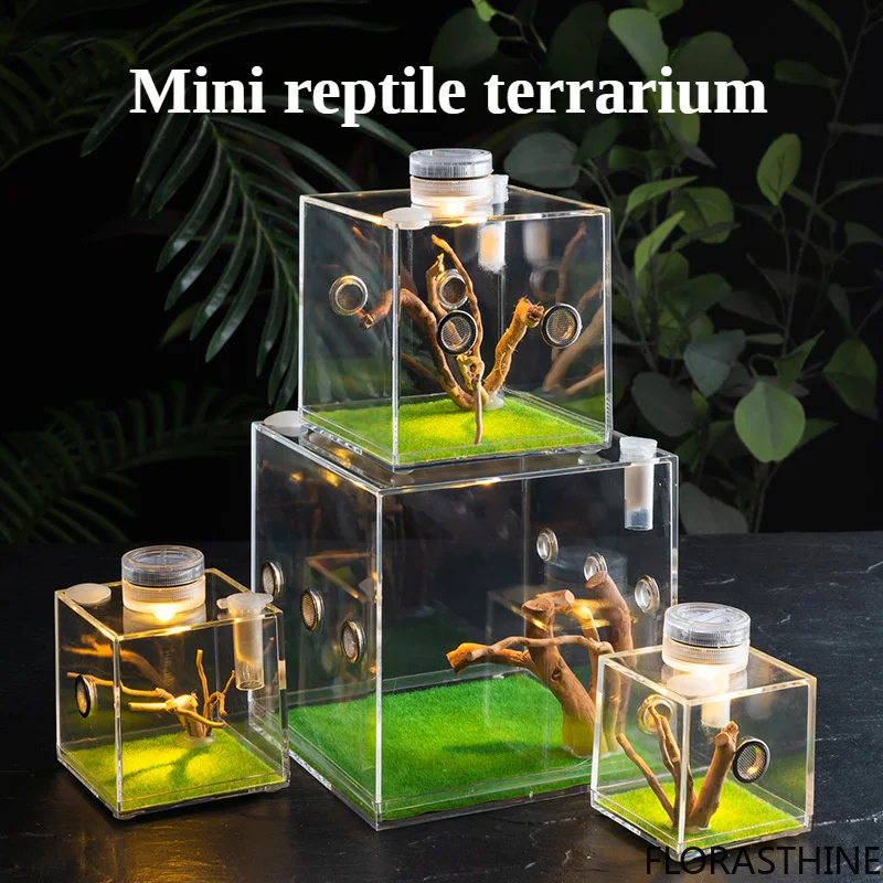 Mini Reptile Breeding Box Insect Acrylic Ecological Box Spider Cicada Mantis Insect Feeding with LED Lights and Landscapin