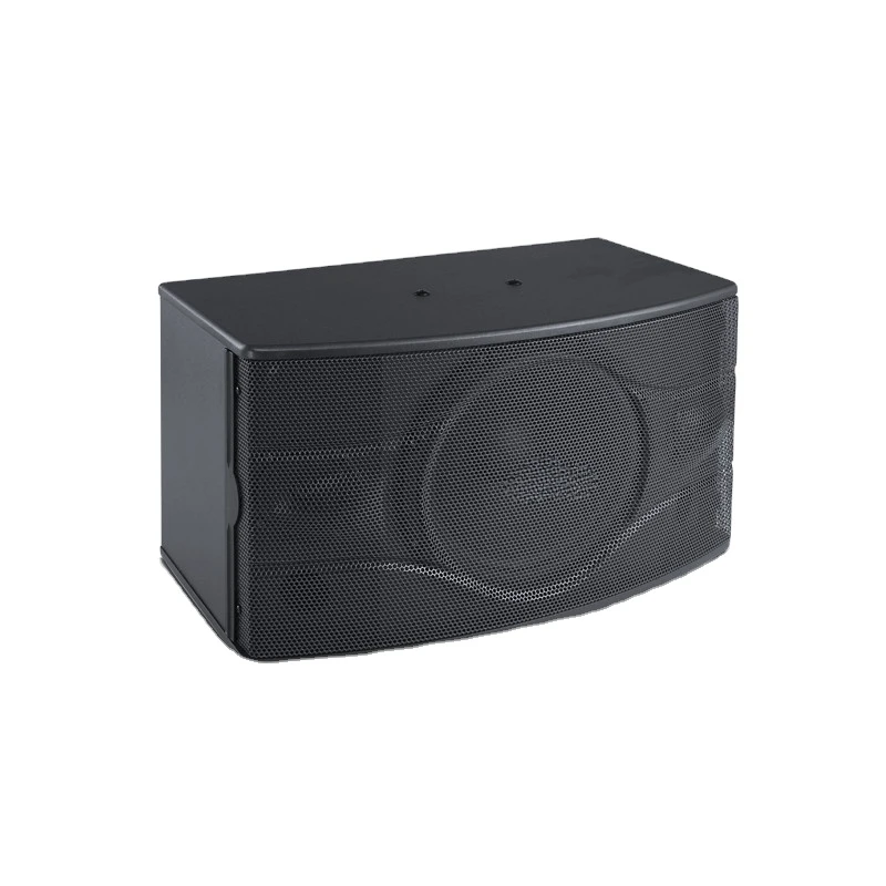 

10 Inch KTV Karaoke Speaker Box