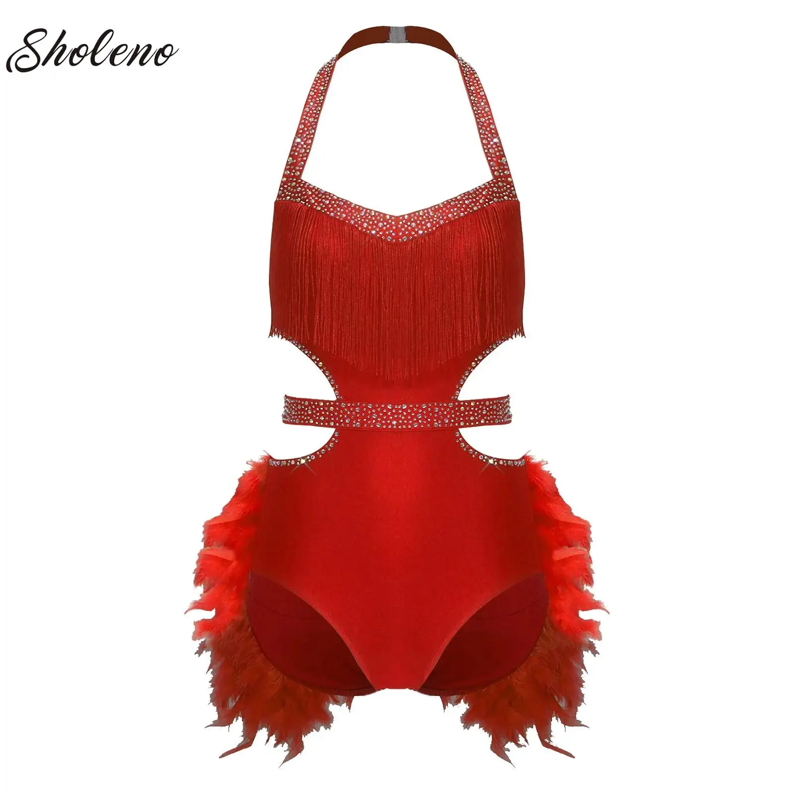 

Women Ballet Bodysuit Figure Skating Gymnastics Jersey Feather Skirted Leotard Costume Latin Jazz Rumba Samba Spanish Dance Wear